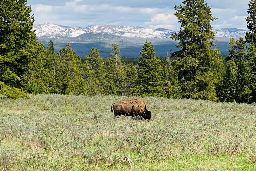 Bear Lair At Teton Valley Idaho Victor Exterior photo